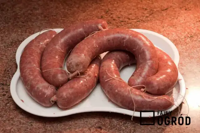 Jak zrobić kiełbasę krakowską domowym sposobem - prosty przepis krok po kroku