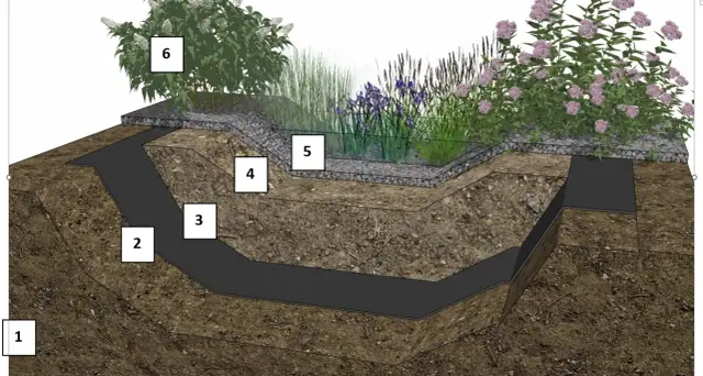 Rekultywacja gruntów po budowie: Odzyskaj żyzny ogród krok po kroku