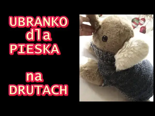 Jak zrobić ubranko dla psa ze swetra – proste kroki, które zachwycą
