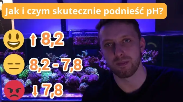 Jak podnieść KH w akwarium: 5 skutecznych metod i wskazówki