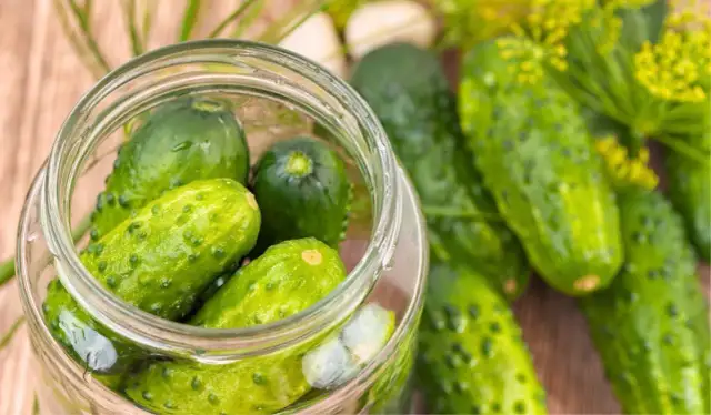 Odstępy siewu ogórków: uniknij błędów i osiągnij plony