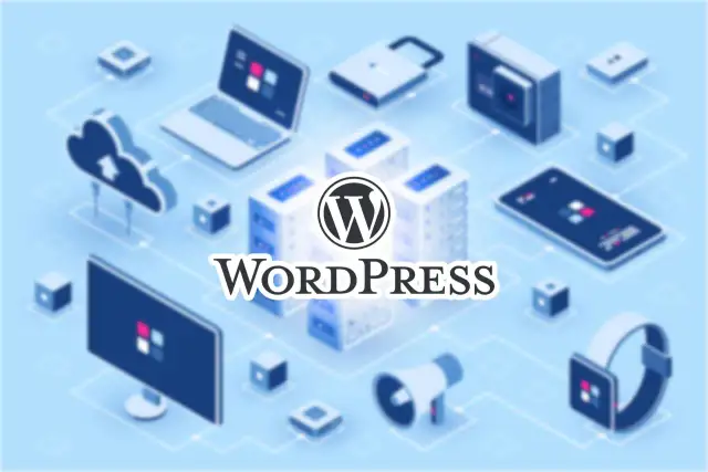 Gdzie "mieszka" domena? Sprawdź serwer, IP i hosting strony!