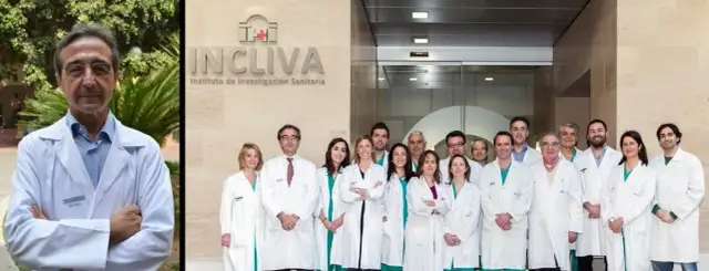 Composición y roles del médico en un equipo de investigación eficaz