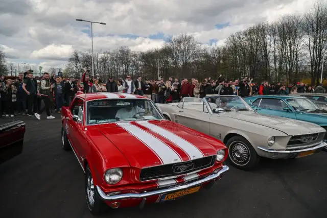 Oto wszystkie miejsca, w których odbędzie się zlot mustangów - aktualna lista