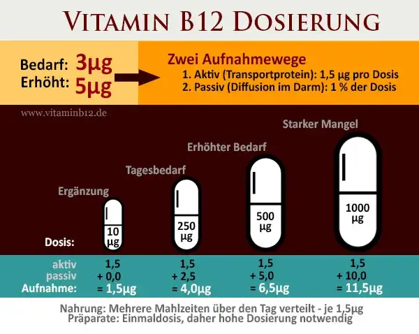 Vitamin B12 richtig einnehmen: Dosierung, Zeitpunkt & Formen