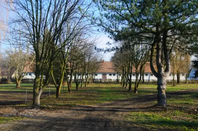 Stadnina koni Stubno - historia, usługi jeździeckie i agroturystyka