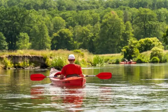 Najpiękniejsze spływy kajakowe w Wielkopolsce Twój przewodnik!