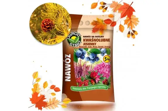 Jaki nawóz do borówek na jesień? Kluczowe składniki dla zdrowych roślin