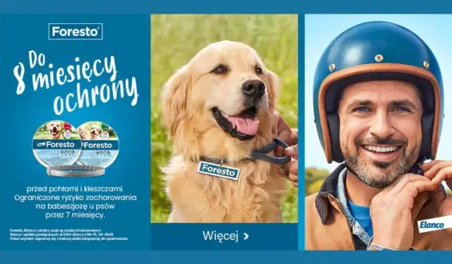 Obroża Foresto kiedy zaczyna działać? Sprawdź, co musisz wiedzieć