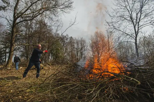 Czy można palić liście na działce? Sprawdź, co grozi za łamanie przepisów
