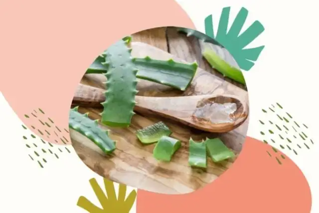 Co to balsam? Odkryj jego właściwości i zastosowania w życiu codziennym