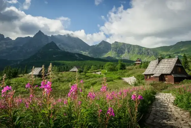 Kasprowy Wierch: Wybierz idealny szlak dla siebie i rodziny!