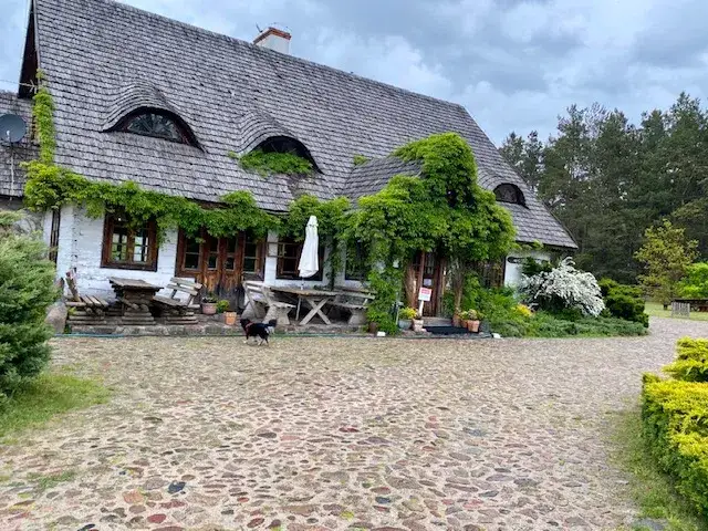 Gdzie zjeść w Janowie Podlaskim? Najlepsze miejsca na posiłek