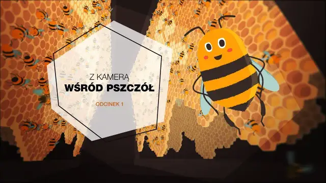 Jak powstaje miód? Edukacyjny film dla dzieci o pszczołach