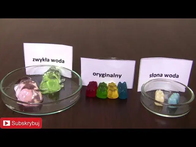 Jak żelki rosną? Eksperyment z osmozą dla dzieci prosty przewodnik