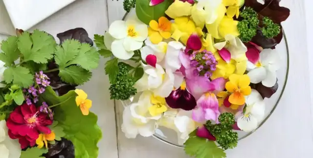 Gdzie kupić jadalne kwiaty w Polsce? Sprawdź najlepsze miejsca