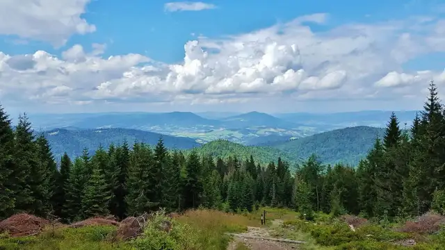 Co jest symbolem Gorczańskiego Parku Narodowego i jego znaczenie dla ekosystemu