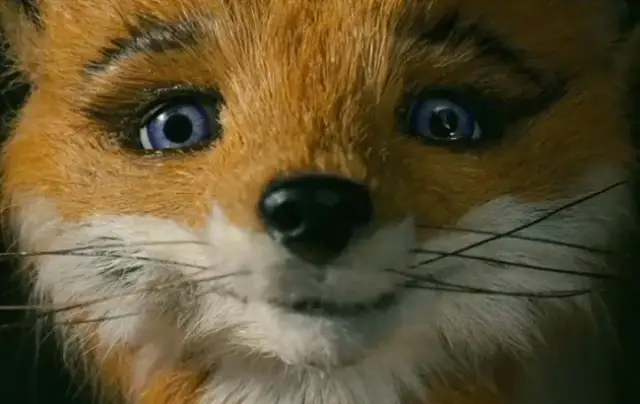 Najlepsze filmy o lisie, które musisz zobaczyć - odkryj ich magię