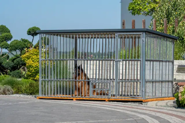 Uszyj kojec dla psa DIY: Praktyczny poradnik krok po kroku