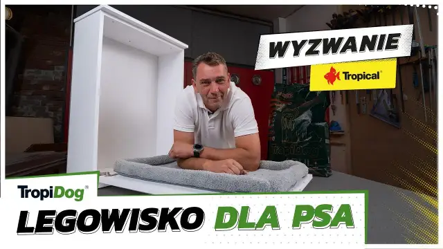 Jak zrobić legowisko dla psa - proste sposoby na wygodne posłanie
