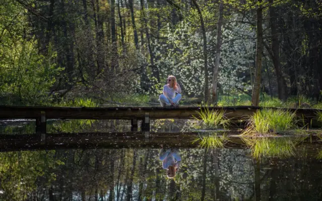 Roztocze: TOP atrakcje i gotowe trasy. Twój przewodnik po polskiej Toskanii