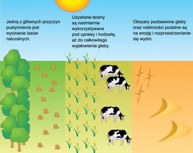 Co to jest Sahel w Afryce? Poznaj jego znaczenie i wyzwania