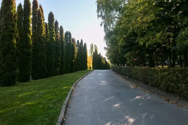 Jak dojechać na cmentarz Łostowicki w Gdańsku bez stresu i korków