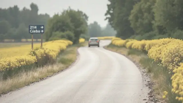 Jak dojechać do Łeby? Szybko i bez stresu Twój plan!