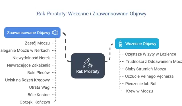 Rak prostaty: objawy, czynniki ryzyka i diagnostyka. Jak rozpoznać?