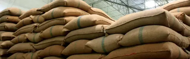 Jak skutecznie przechowywać zboże, aby uniknąć jego psucia się