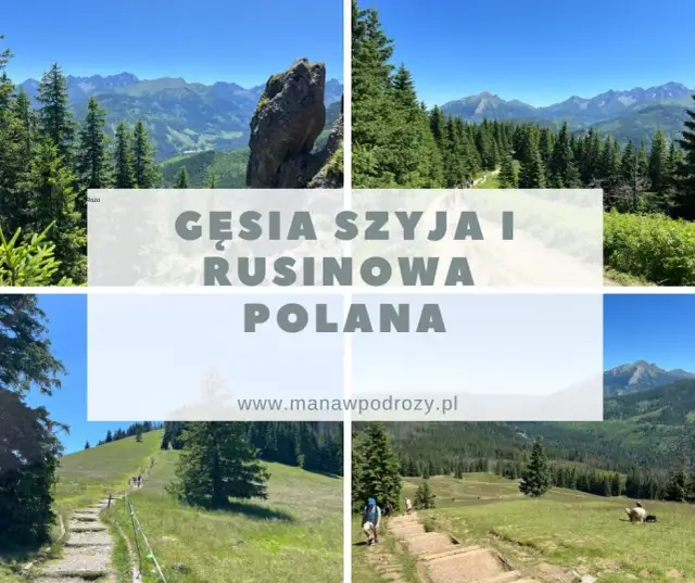 Gęsia Szyja z Wierchu Poroniec: Szlak, Widoki, Porady Kompletny Przewodnik