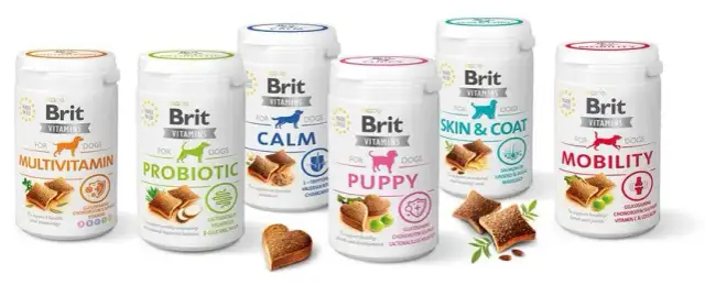 Od kiedy przysmaki dla szczeniaka? Kluczowe informacje dla właścicieli.