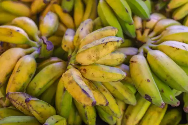 W jakim kraju rosną banany? Odkryj największych producentów