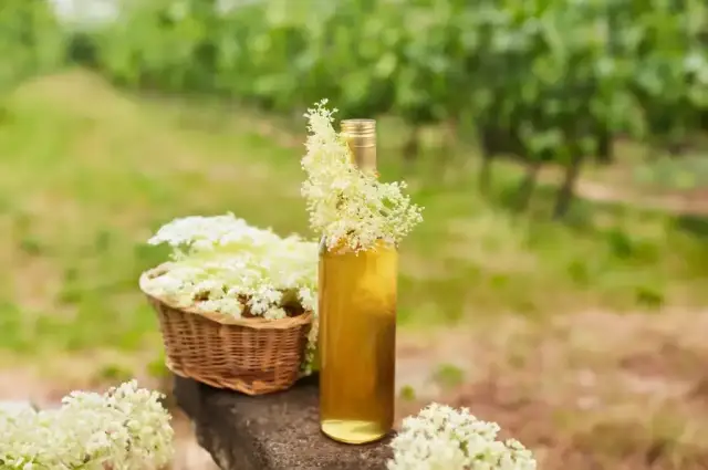 Nalewka z czarnego bzu na co pomaga – poznaj jej niezwykłe właściwości