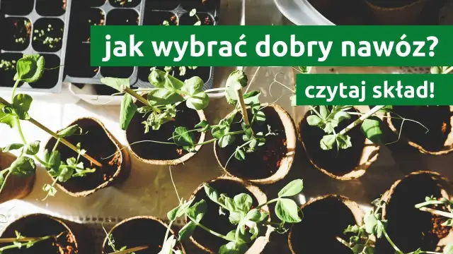 Nawóz WE co to znaczy? Zrozum jego znaczenie i przepisy unijne