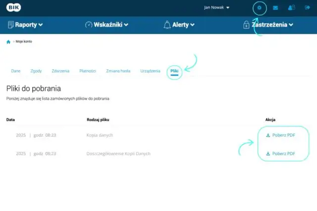 BIK: Jak sprawdzić historię kredytową? Instrukcja, koszty, porady