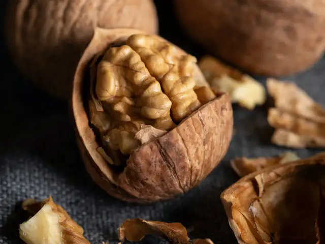 Orzechy włoskie, kiedy zbierać? Jesień to idealny czas na zbiory. Na zdjęciu pęknięta łupina z widocznym jądrem orzecha.