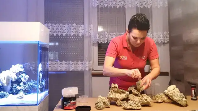 Czym kleić kamienie w akwarium? Najlepsze kleje i porady na start