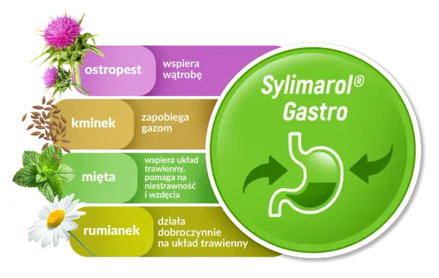 Na co Sylimarol? Pełny przewodnik o działaniu i stosowaniu