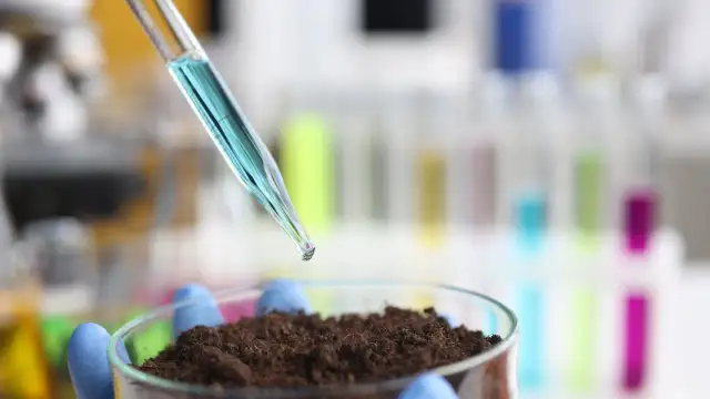 Czy kompost zakwasza glebę? Sprawdź, jak uniknąć problemów z pH!