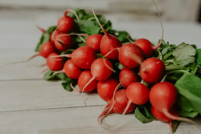 Najłatwiejsze warzywa do ogródka: obfite plony bez wysiłku