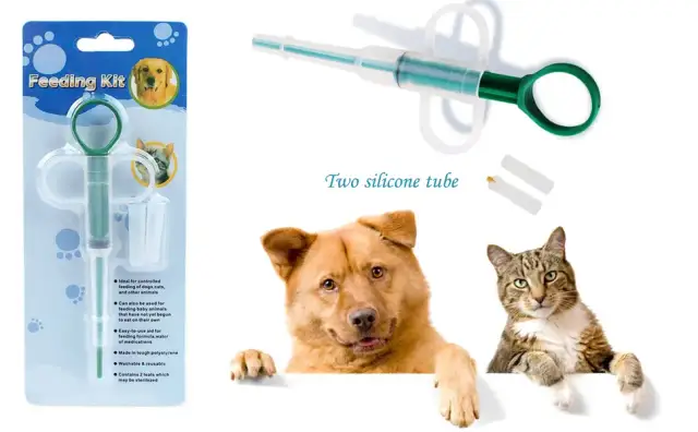 Cómo dar pastillas a un gato sin estrés: métodos efectivos y sencillos