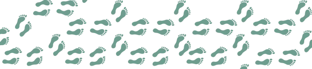 Jak obliczyć kalorie spalane podczas 10 km spaceru - kalkulator