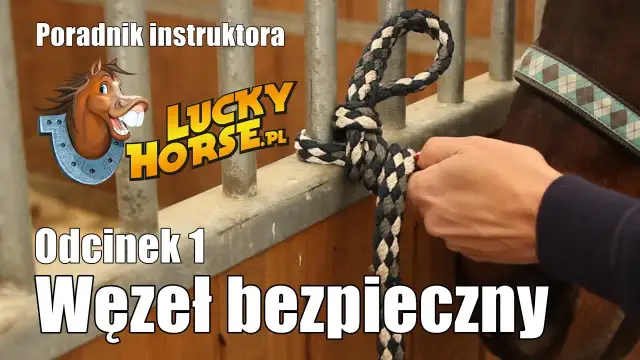 Jak zrobić lizawkę dla konia? Bezpieczny przepis krok po kroku