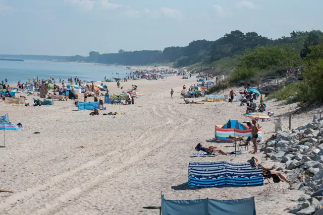 Morze Bałtyckie umiera? 10 kluczowych przyczyn degradacji ekosystemu