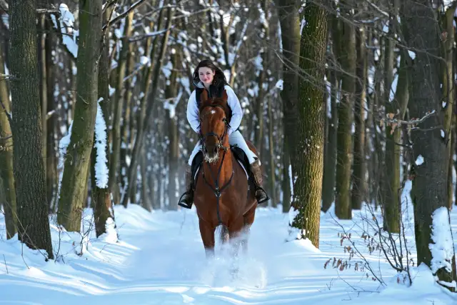 Jeździectwo w Polsce: historia, pasja i rozwój sportu jeździeckiego