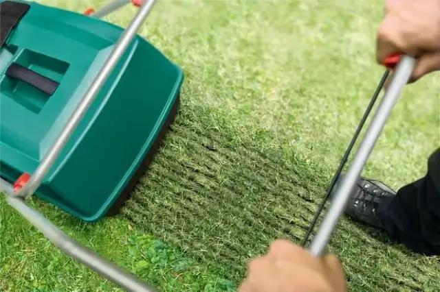 Wertykulacja trawnika: Kiedy dokładnie? Wiosna czy jesień?