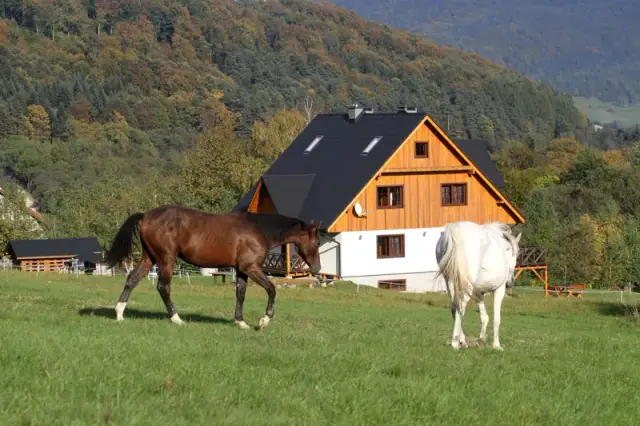 Stadnina koni Rabka-Zdrój - najlepsze miejsca na jazdę konną