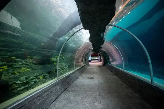 Łódzkie co zwiedzić z dzieckiem: najlepsze atrakcje dla rodzin