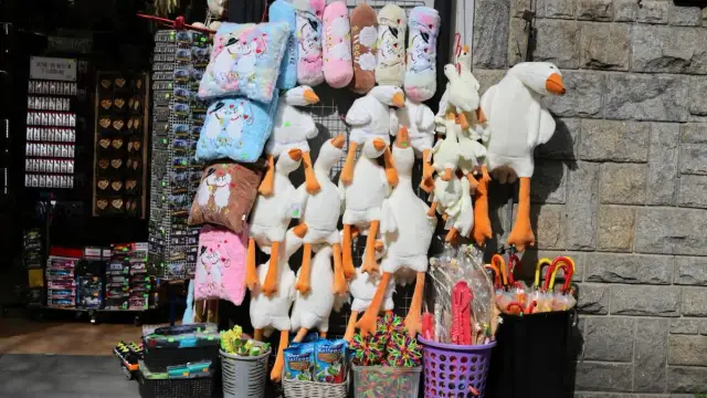 Ile kosztuje pluszowa gęś? Ceny, które zaskoczą każdego kupującego